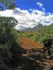 Powerline Trail north